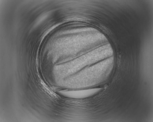 X0000085051028200703261132