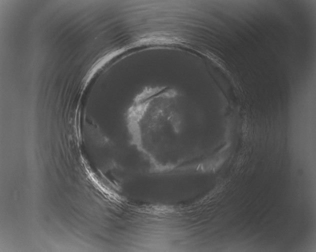 X0000085051030200703261132