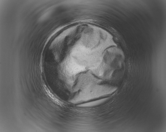 X0000085051036200703261132