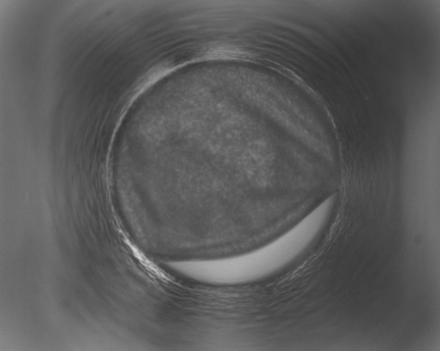 X0000085051037200703261132