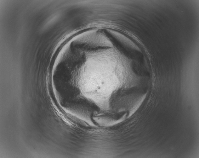 X0000085051040200703261132