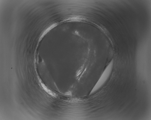 X0000085051042200703261132