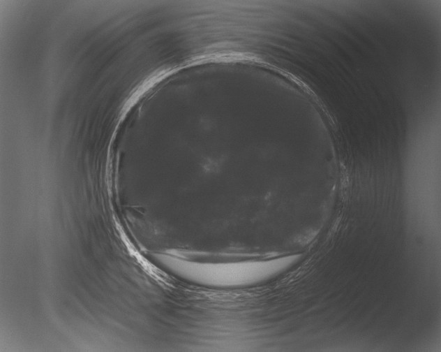 X0000085051046200703261132