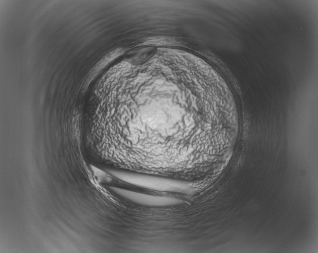 X0000085051049200703261132