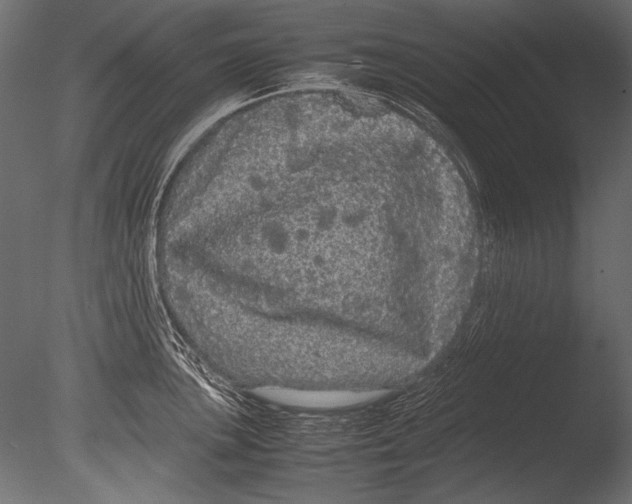 X0000085051051200703261132