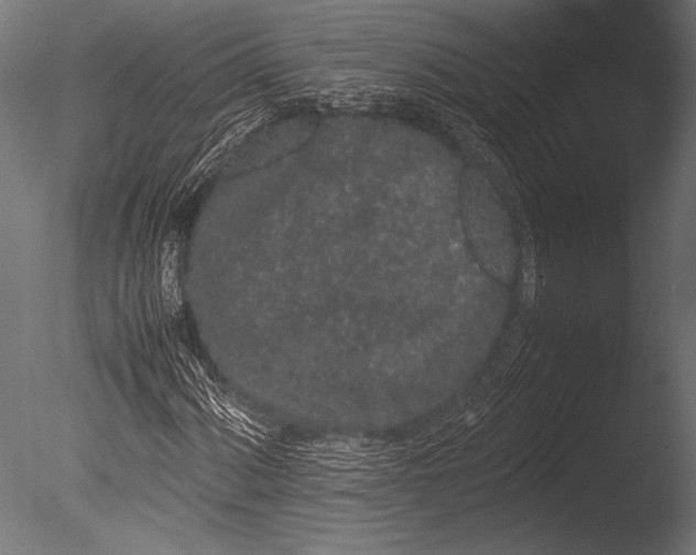 X0000085051060200703261131