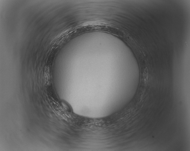 X0000085051062200703261131