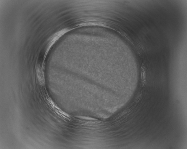 X0000085051068200703261131