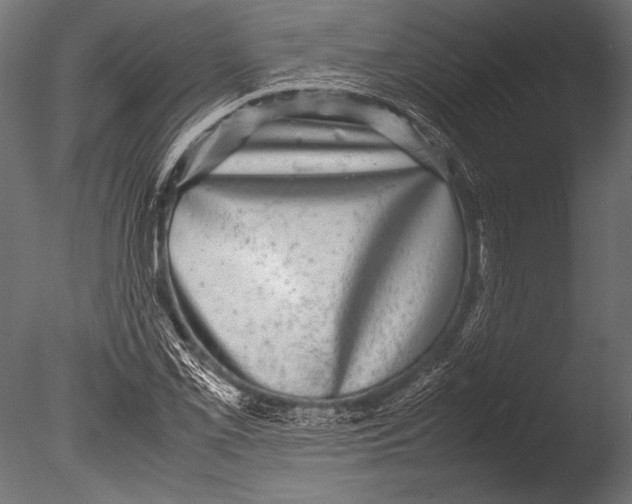 X0000085051069200703261131