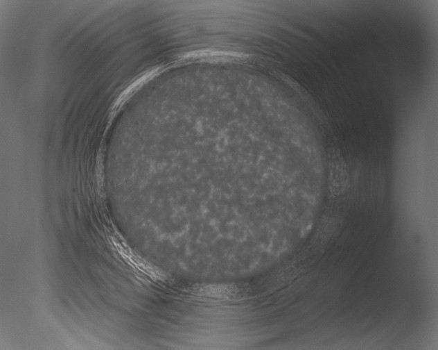 X0000085051074200703261131
