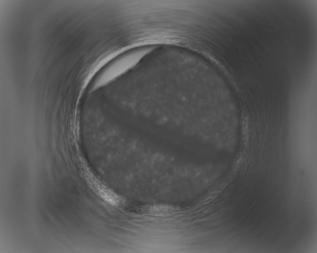 X0000085051077200703261131