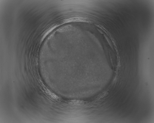 X0000085051081200703261131