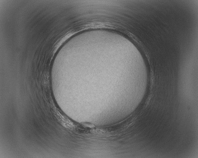 X0000085051089200703261131