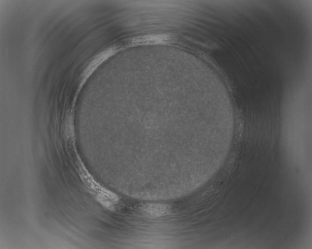 X0000085051090200703261131