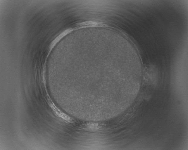 X0000085051098200703261131
