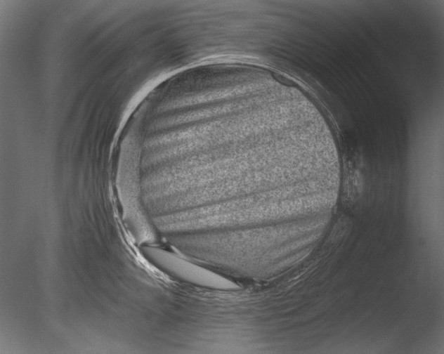 X0000085051102200703261131