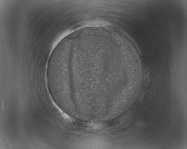X0000085051103200703261131