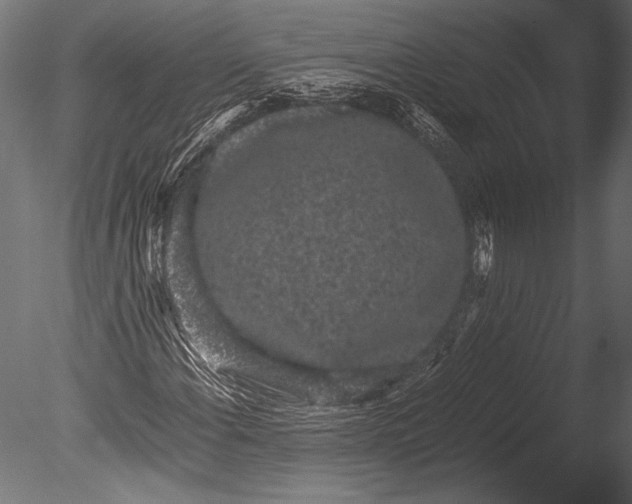 X0000085051108200703261130