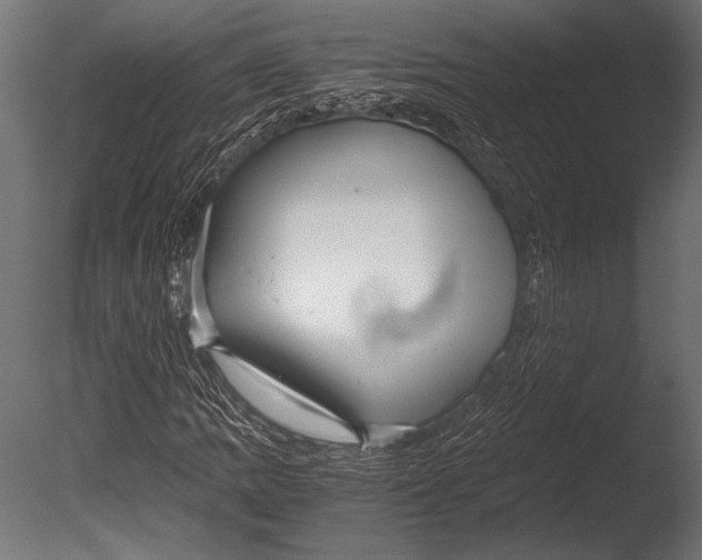 X0000085051109200703261130