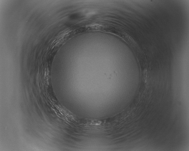 X0000085051111200703261130