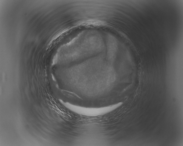 X0000085051112200703261130