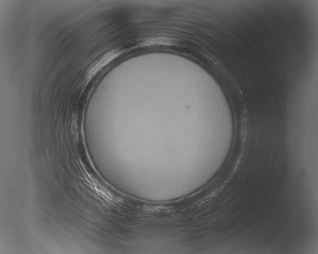 X0000085051113200703261130