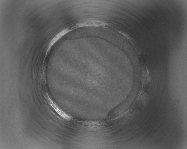 X0000085051114200703261130