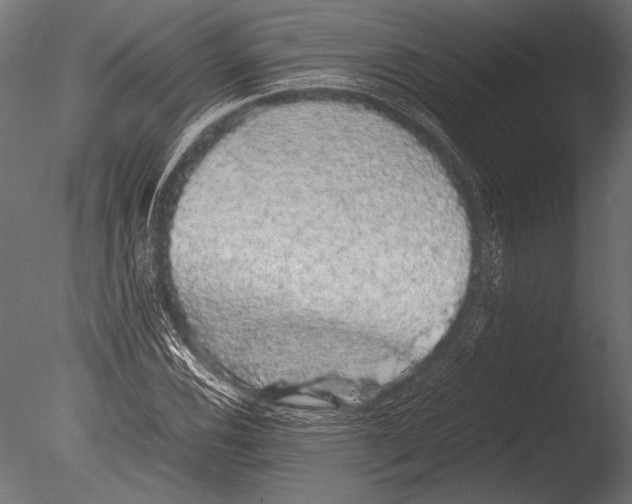 X0000085051116200703261130