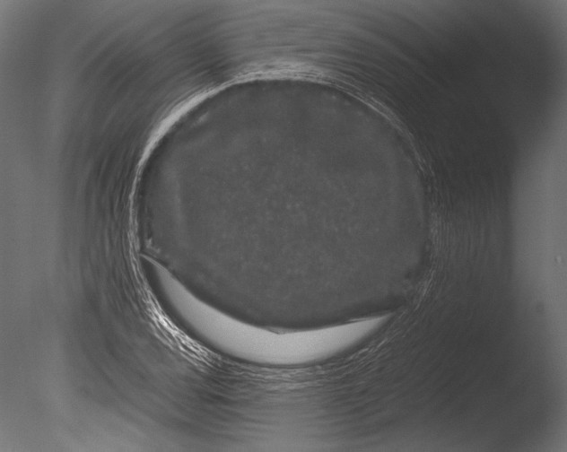 X0000085051120200703261130