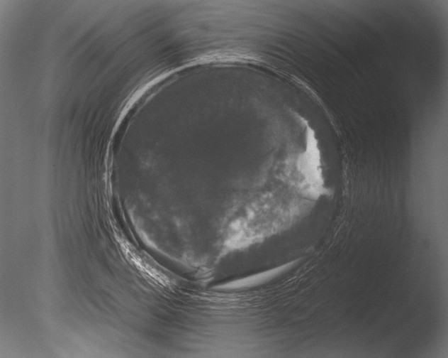 X0000085051124200703261130