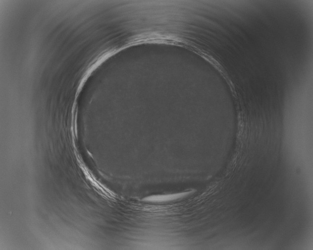 X0000085051128200703261130