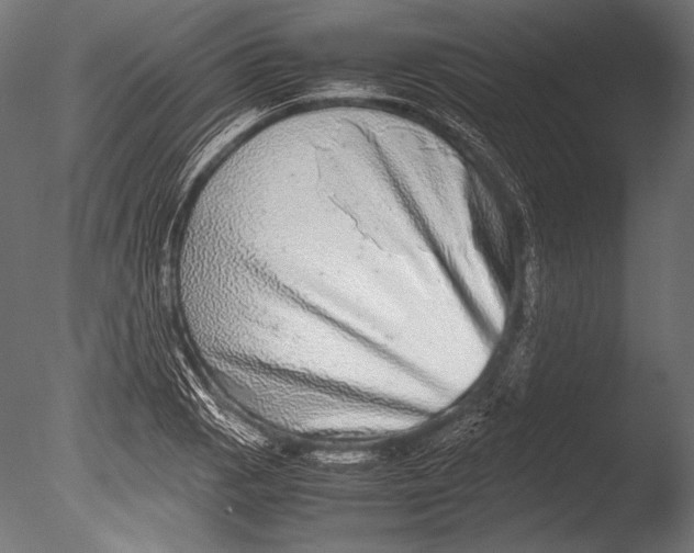 X0000085051129200703261130