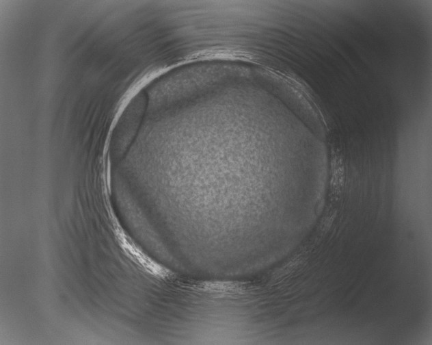 X0000085051132200703261130