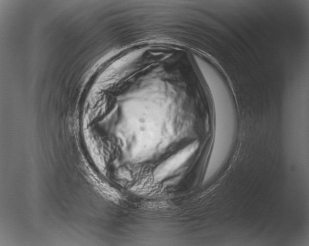 X0000085051133200703261130