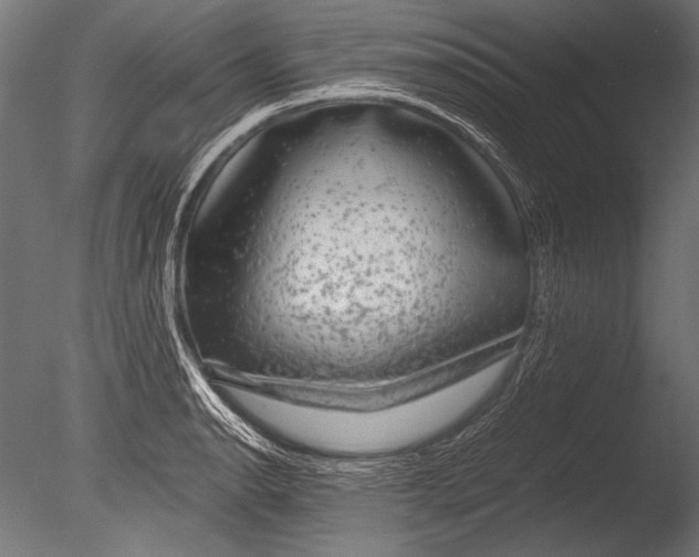 X0000085051134200703261130