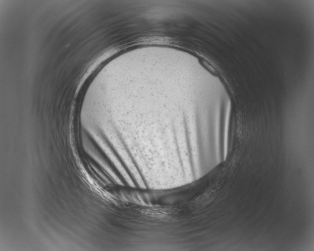 X0000085051139200703261130