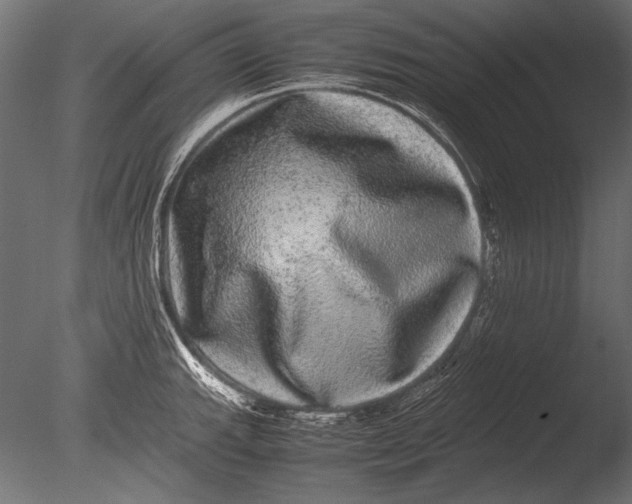 X0000085051143200703261130