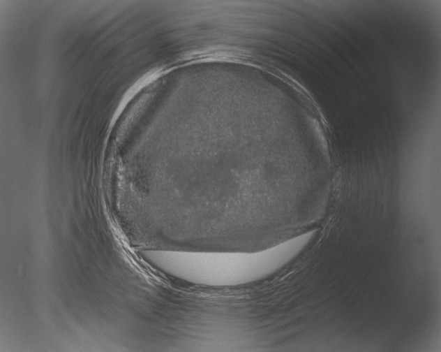 X0000085051146200703261131
