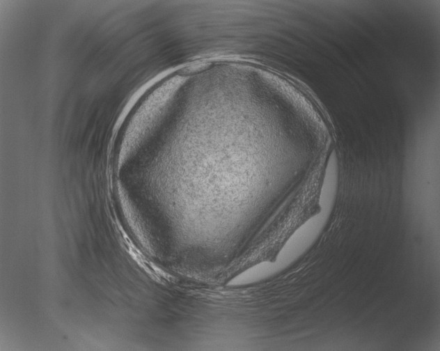 X0000085051148200703261131