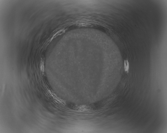 X0000085051155200703261130