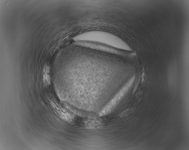 X0000085051156200703261130