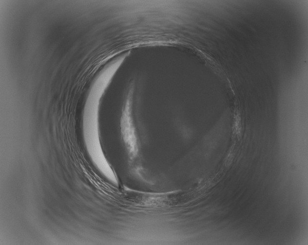 X0000085051161200703261130