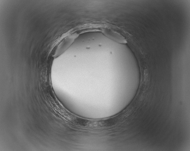 X0000085051165200703261130