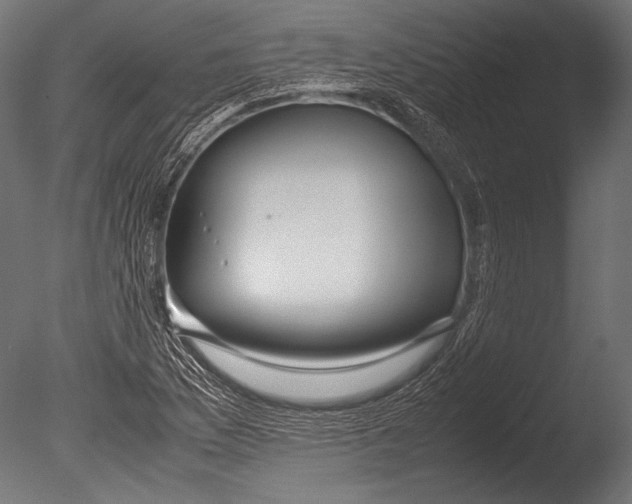 X0000085051169200703261129