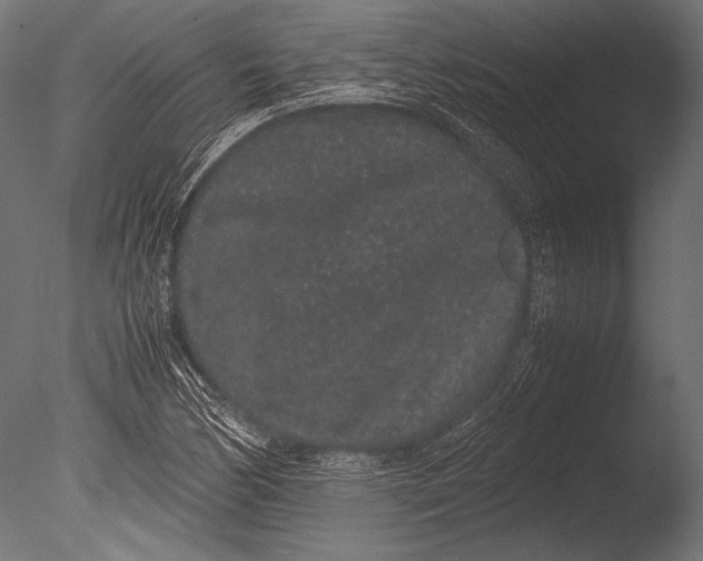 X0000085051170200703261129