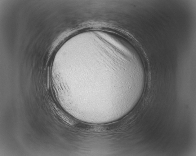 X0000085051175200703261129