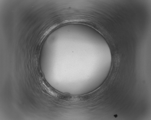 X0000085051177200703261129