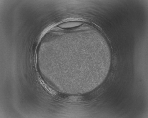 X0000085051179200703261129