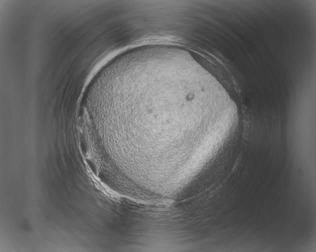 X0000085051192200703261129