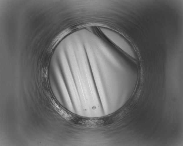 X0000085051193200703261129